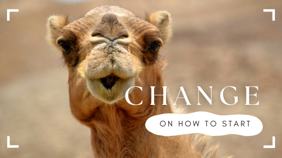 Have you tied your camel, yet?
